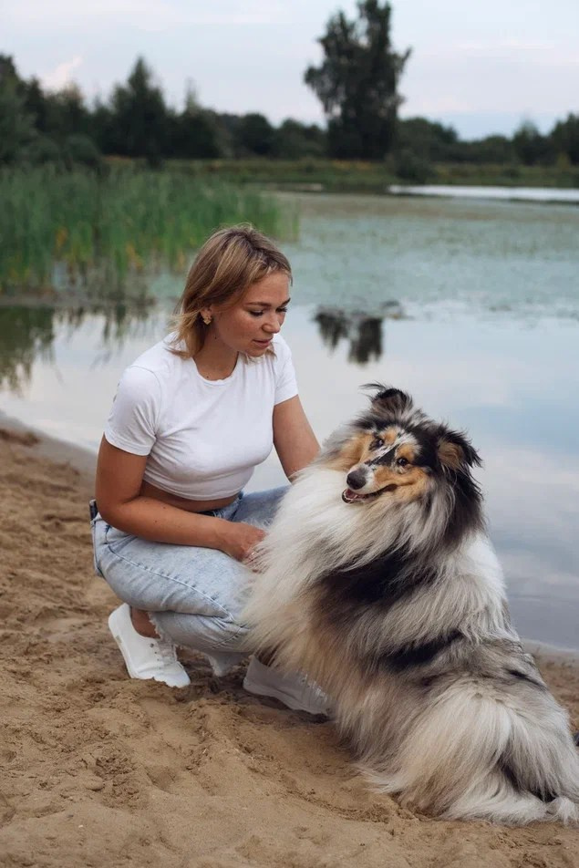 Семейная съёмка с собакой — Блума и семья. Фотосессии с лошадьми и вашими питомцами Сергиев Посад