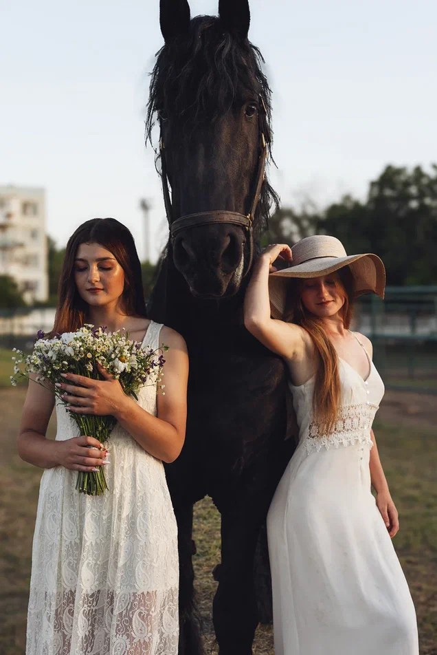 Съёмка с лошадью — Хэппи, Марина и Лера. Фотосессии с лошадьми и вашими питомцами Сергиев Посад