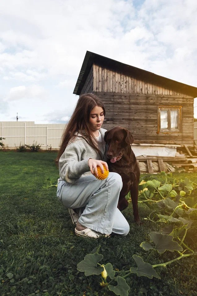 Фотосессия с собакой — Трой и Ессения. Фотосессии с лошадьми и вашими питомцами Сергиев Посад