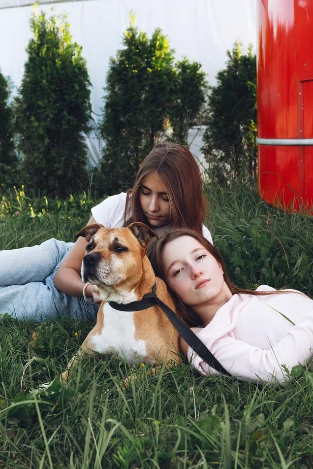 День Рождения вашего питомца — Рокки 10 лет. Фотосессии с лошадьми и вашими питомцами Сергиев Посад