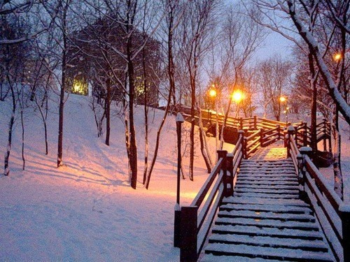 Портретная съёмка в парке — мягкий рассеянный свет сквозь кроны деревьев