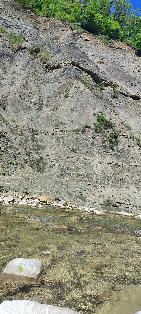 Горы 2025. Собор Отрасли