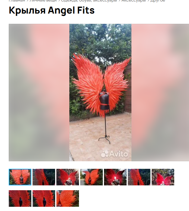 Крылья. Фотограф для маркетплейсов Михаил Бове