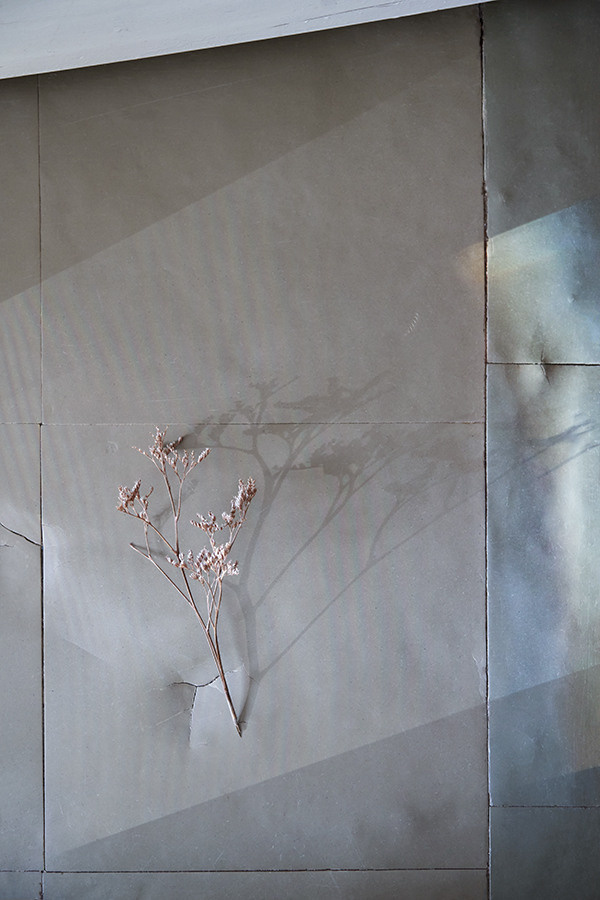 Bright Collection. Alexey Divnich — Official Website