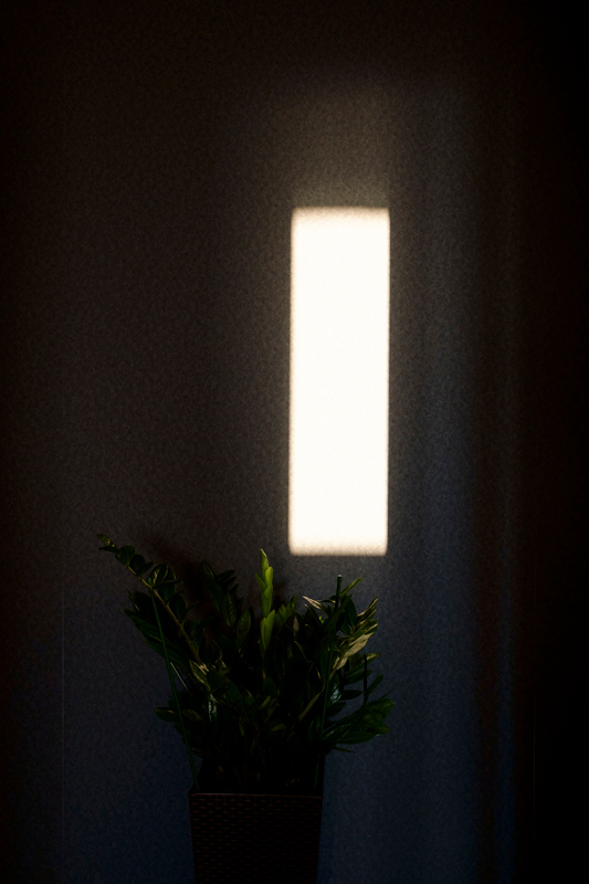 — Agoraphobia sunsets. Lena Ovchinnikova