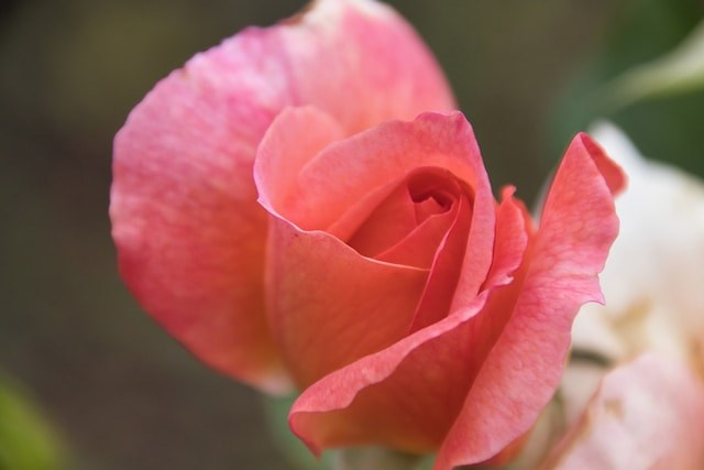 HQ скачать на https://unsplash.com/@elegeo/