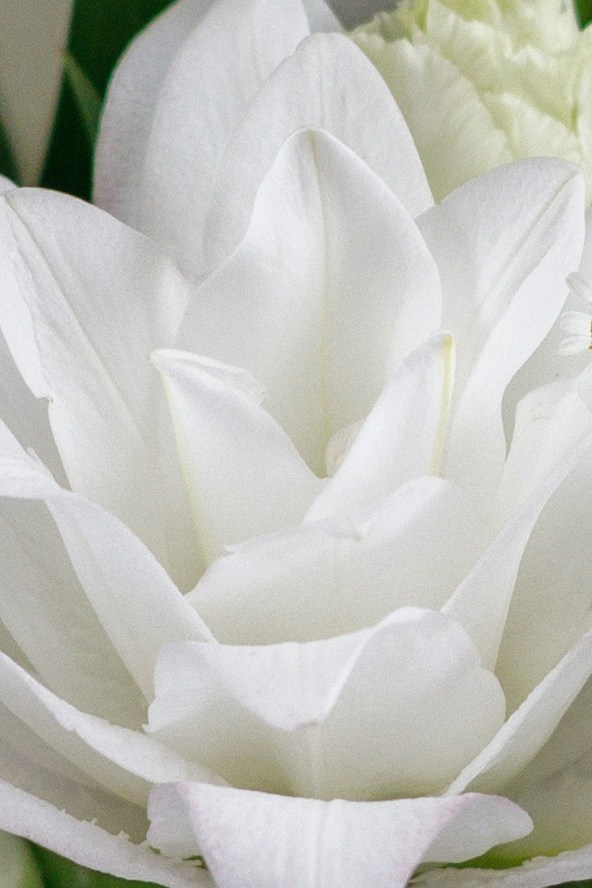 Свадебный банкет в отеле Хилтон Москва Ленинградская. Свадебный фотограф Москва