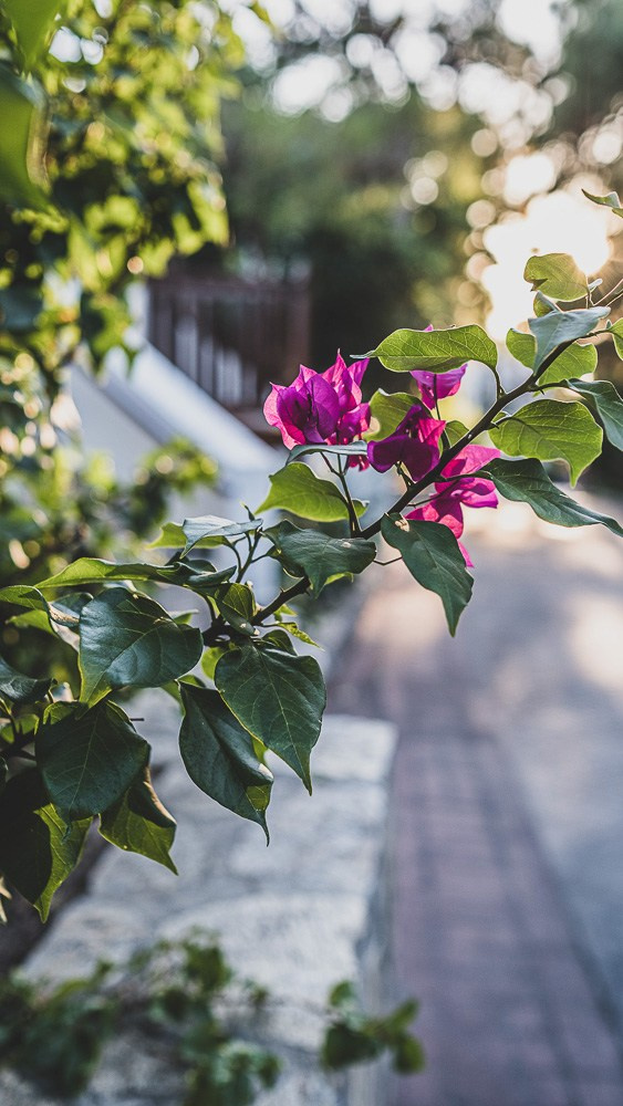 Kati & Family. Photographer in Valencia | Spain | Tatiana Kvasha
