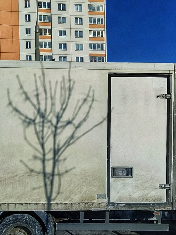 Бесшумная фотография. Tatyana Mazok творческий фотограф в Минске