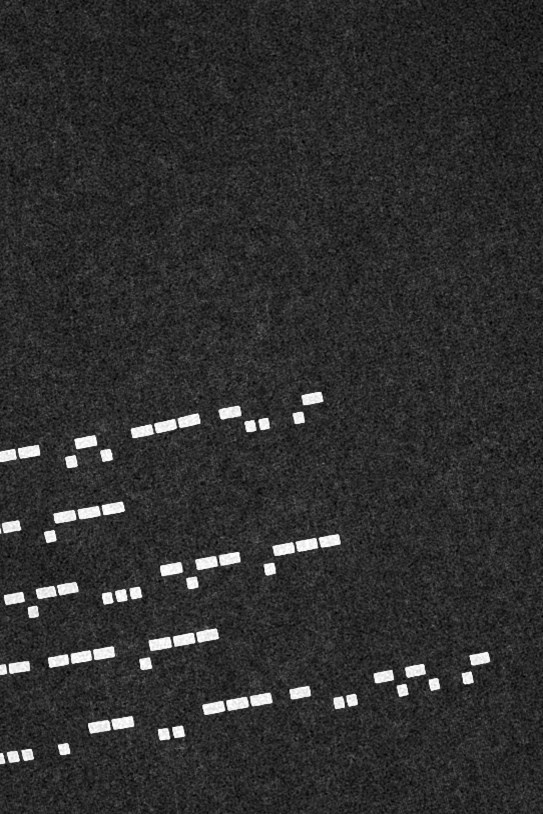 Константин Лобанов ЧБ. Фотограф-анималист Ксения Воробьева, Москва