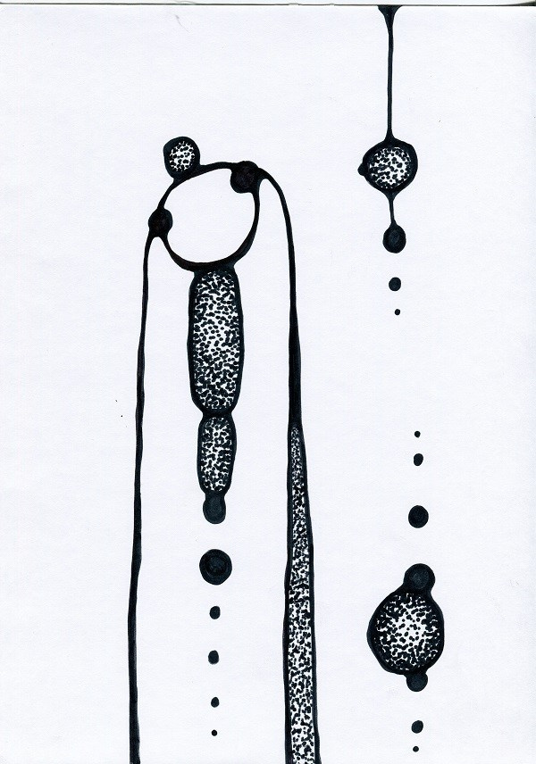 ГРАФИКА. Натали Бордо/ Natalie Bordo художник