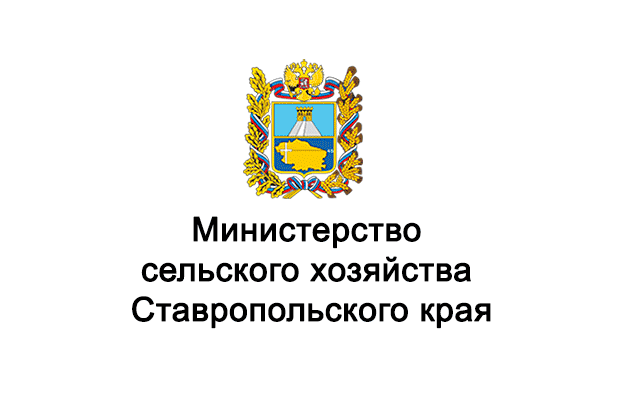 Мои клиенты. Владимир Картавенко, Фото и видео съёмка для Бизнеса и Event в Пятигорске