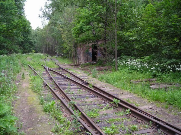 Съёмка на московской заброшке — драматичные портреты в разрушенных интерьерах
