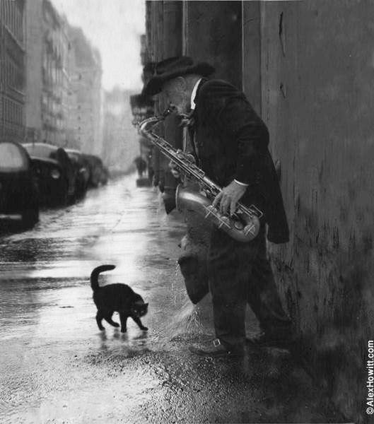 Духовые инструменты. Фотограф для маркетплейсов Михаил Бове