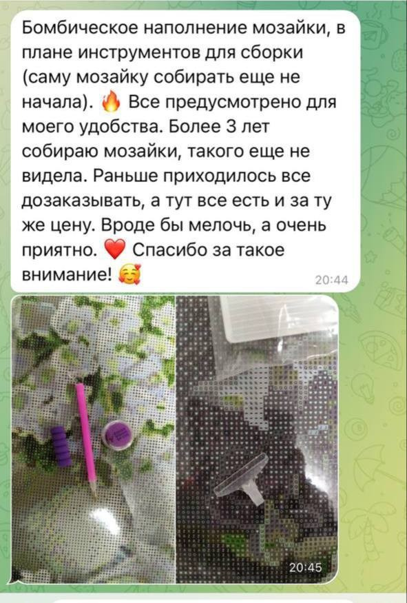 Алмазная мозаика CVL