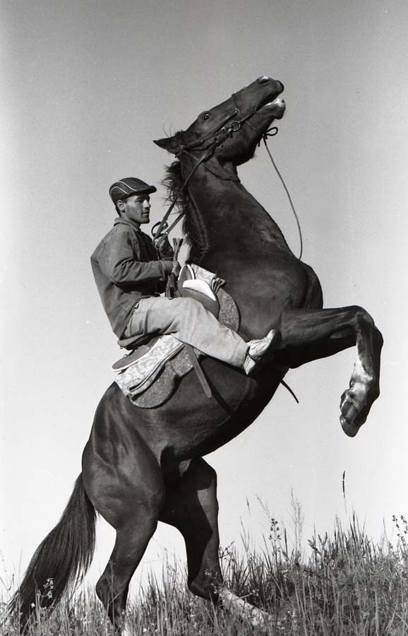 Ч/б плёнка. Фотограф в Москве Юлия Карпова