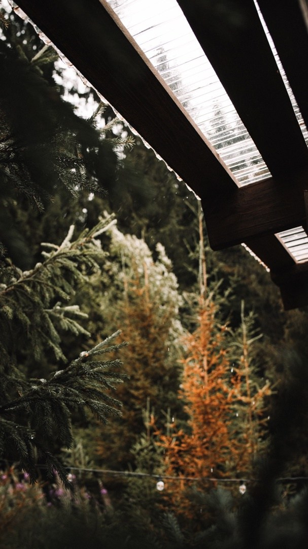 Глэмпинг Холмистый. Аренда домиков в Перми