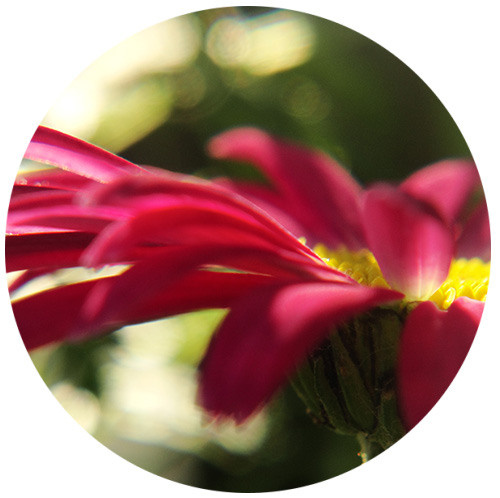 Начало пути