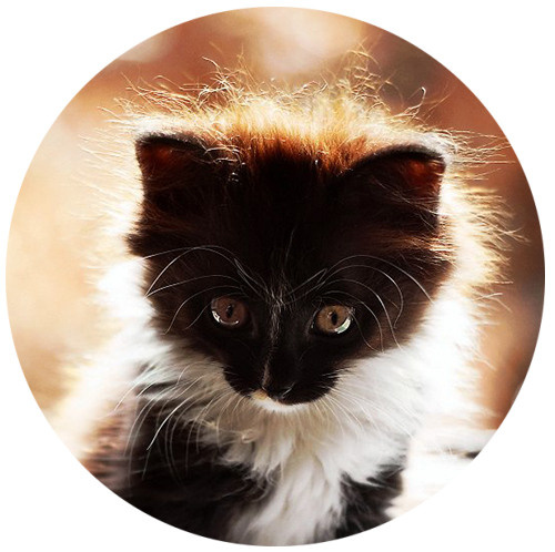 Начало пути