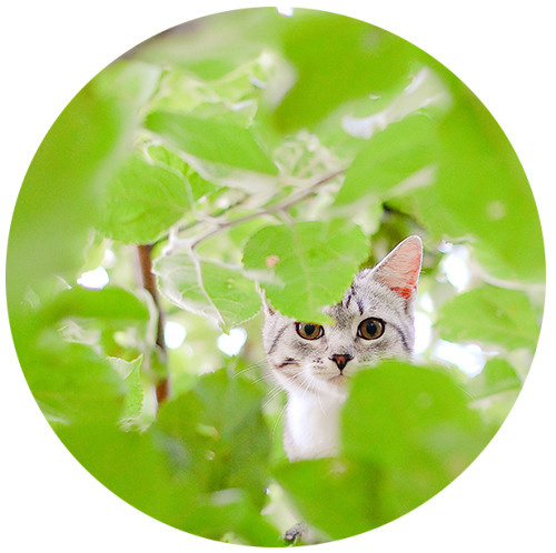 Начало пути