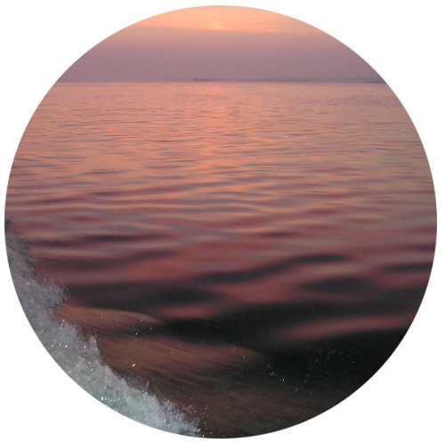 Начало пути