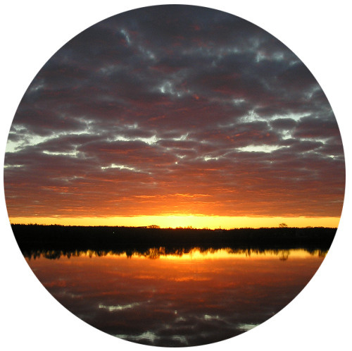 Начало пути