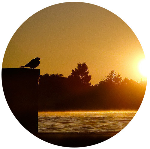 Начало пути