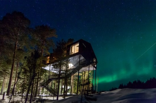 Treehotel, Швеция от 60 т.р. Фотограф для маркетплейсов Михаил Бове