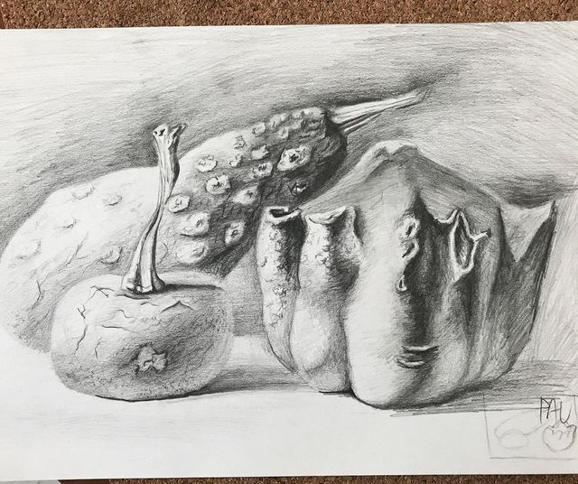 Traditional. Pauline limpoo, media artist