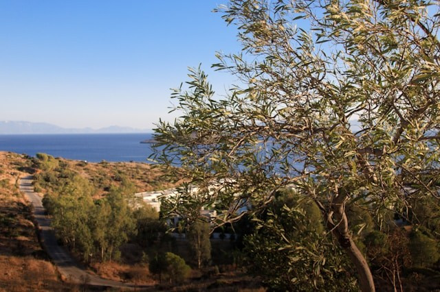 Бухта Бодрума / HQ скачать на https://unsplash.com/@elegeo/