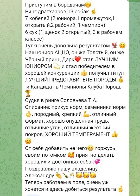 Выставки. Главная