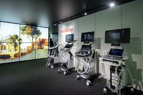 О дизайнере