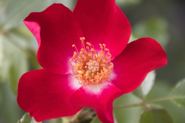 HQ скачать на https://unsplash.com/@elegeo/