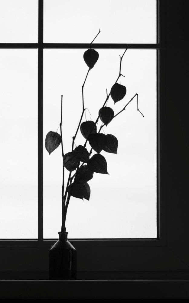 СТАКАНЫ/РЮМКИ. Фотограф для маркетплейсов Михаил Бове