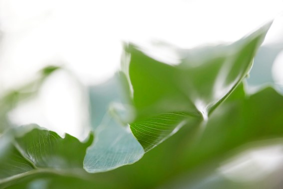 Коллекция «ПРИКОСНОВЕНИЕ». Лена Сми интерьерный и портретный фотограф. Москва и Санкт-Петербург