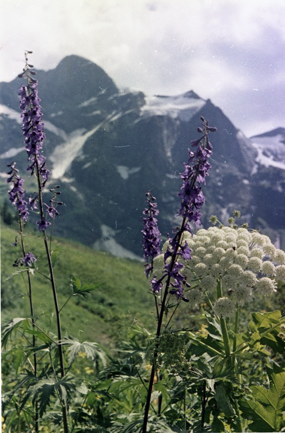 Саяны. ВАДИМ ГИППЕНРЕЙТЕР — ВЕЛИКИЙ ФОТОГРАФ ЗЕМЛИ РУССКОЙ