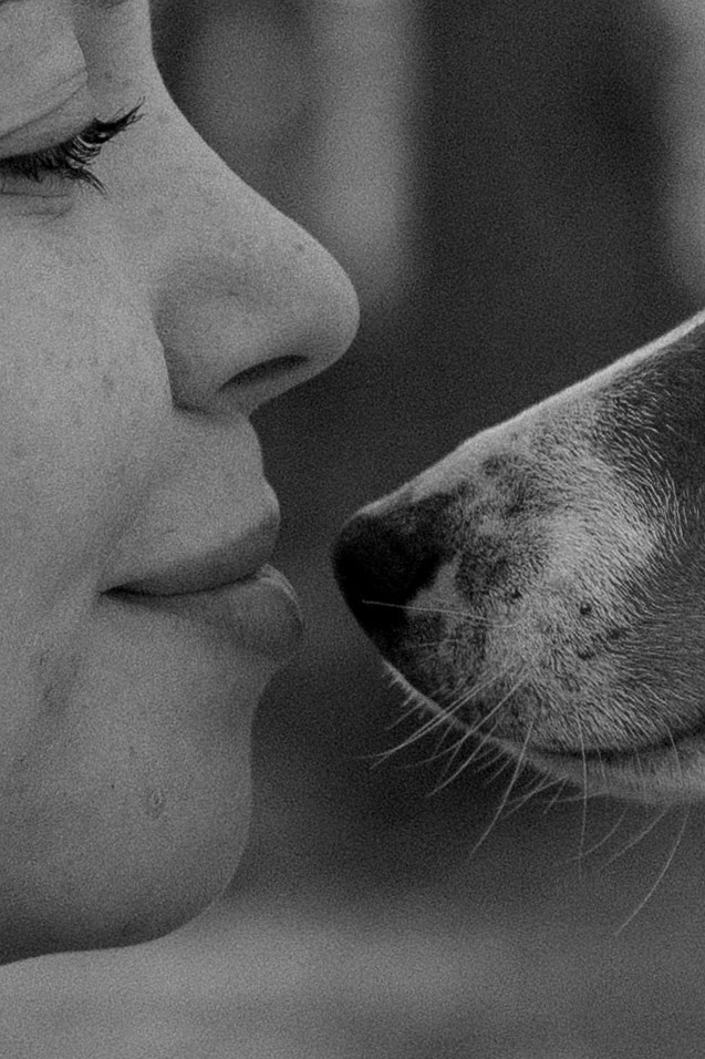 Алиса и Лео. Фотограф — Анималист | Санкт-Петербург