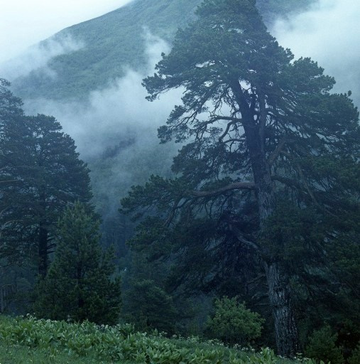 Кавказ. ВАДИМ ГИППЕНРЕЙТЕР — ВЕЛИКИЙ ФОТОГРАФ ЗЕМЛИ РУССКОЙ