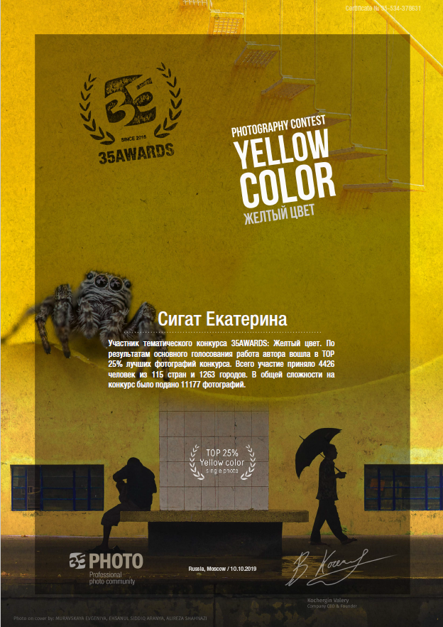 Участие в конкурсах. Фотограф женского портрета Екатерина Сигат