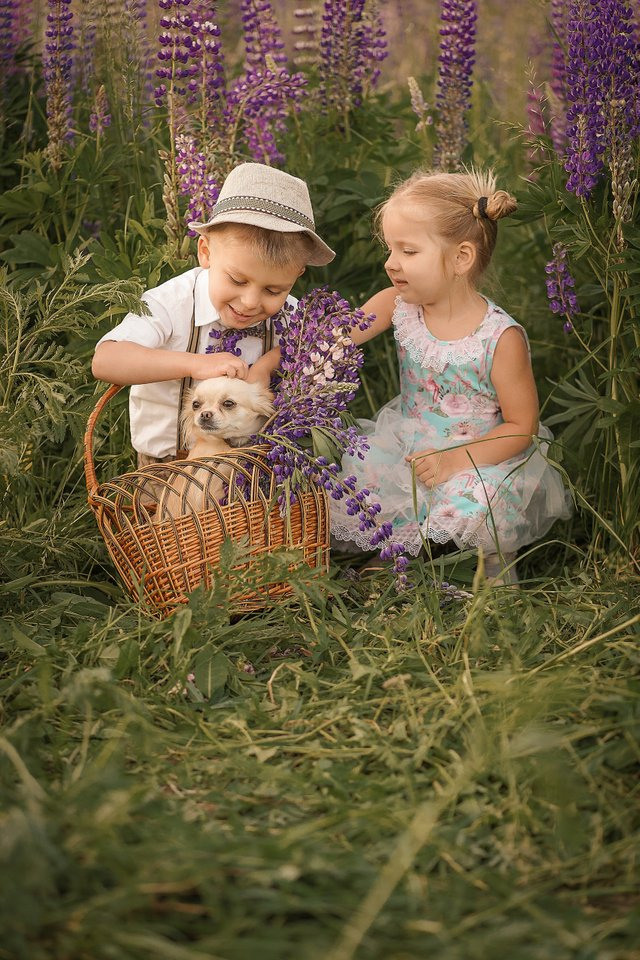 Творческая съёмка в стиле «В ЛЮПИНАХ»