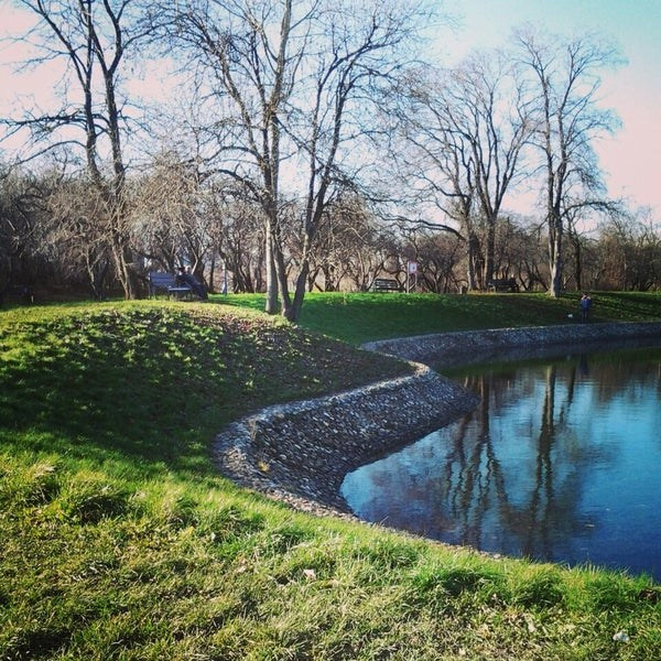 Фотосессия в парке у пруда — отражения в воде и живописные берега