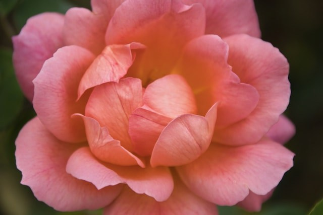 HQ скачать на https://unsplash.com/@elegeo/