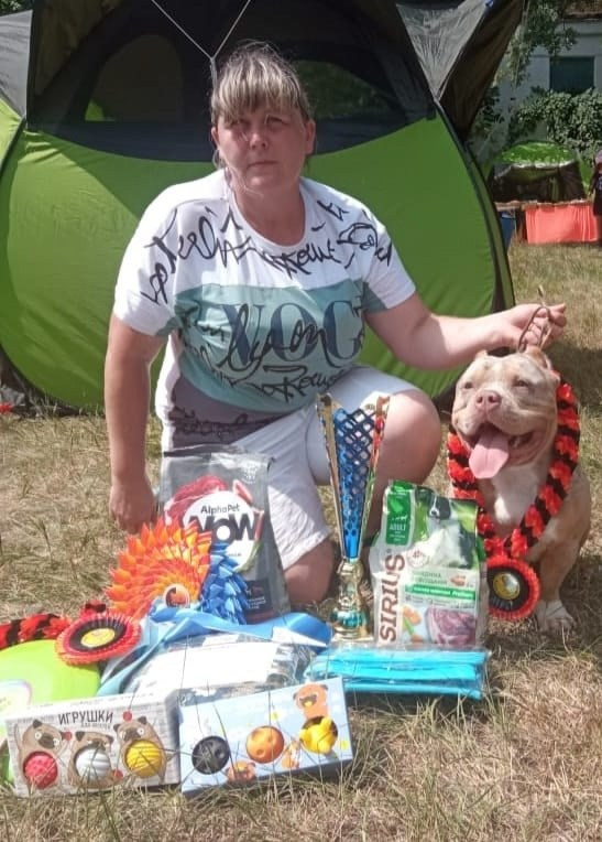 победы на выставке американского булли 