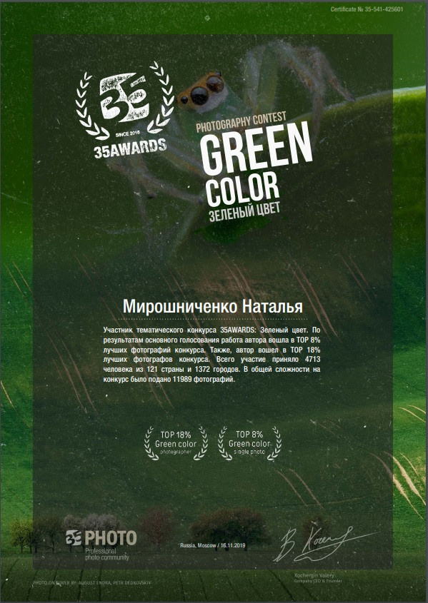 ПУБЛИКАЦИИ И НАГРАДЫ. Профессиональный семейный и детский фотограф Наталья Мирошниченко