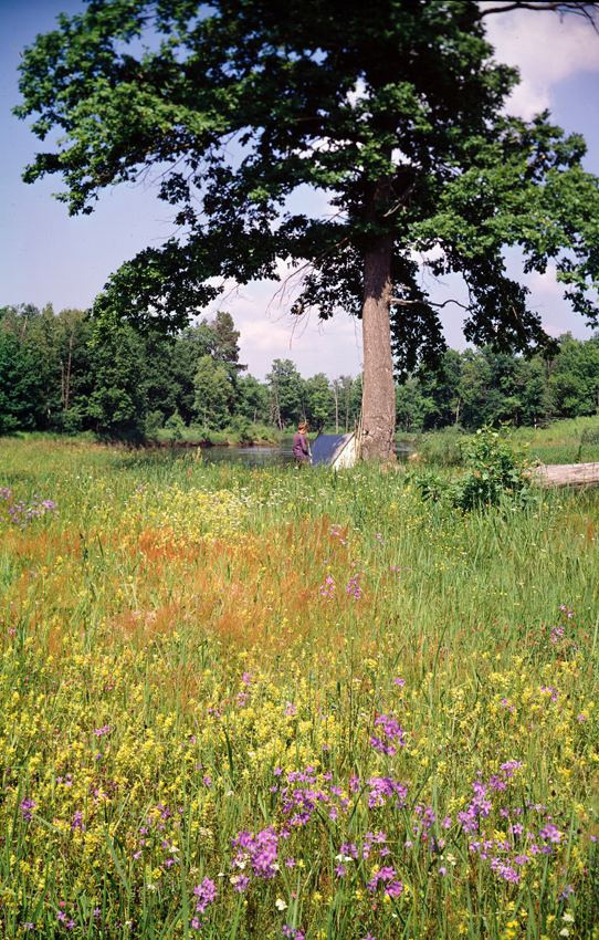 Лето. ВАДИМ ГИППЕНРЕЙТЕР — ВЕЛИКИЙ ФОТОГРАФ ЗЕМЛИ РУССКОЙ