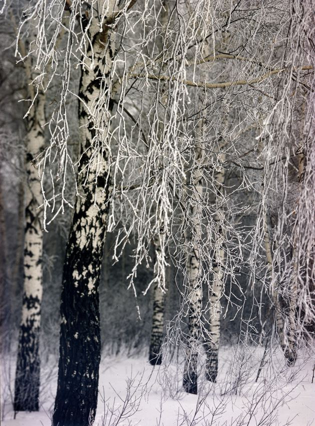 Зима. ВАДИМ ГИППЕНРЕЙТЕР — ВЕЛИКИЙ ФОТОГРАФ ЗЕМЛИ РУССКОЙ