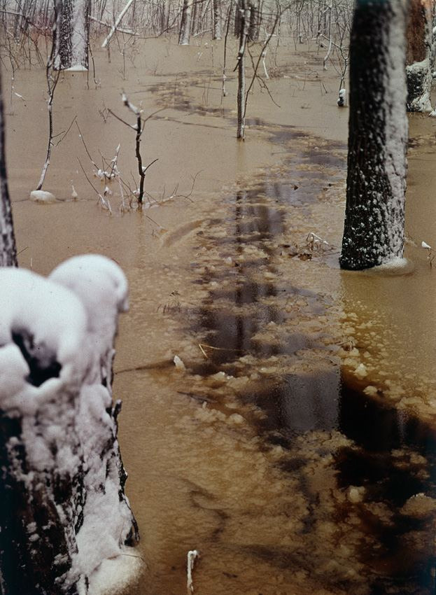 Весна. ВАДИМ ГИППЕНРЕЙТЕР — ВЕЛИКИЙ ФОТОГРАФ ЗЕМЛИ РУССКОЙ