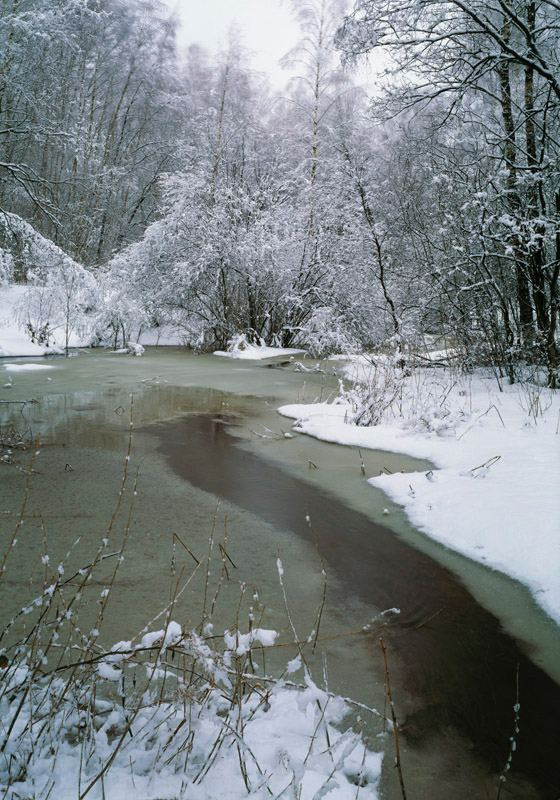 Зима. ВАДИМ ГИППЕНРЕЙТЕР — ВЕЛИКИЙ ФОТОГРАФ ЗЕМЛИ РУССКОЙ