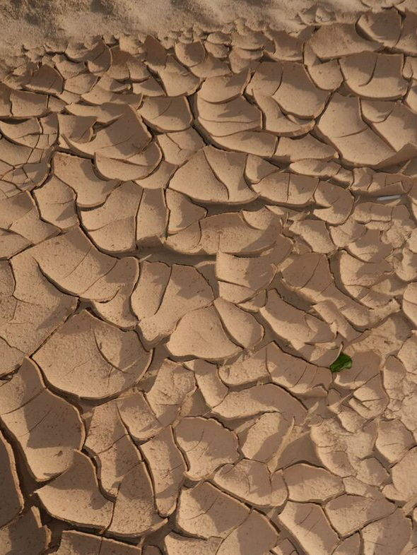 MARS. Дом вдали от дома. Сет дизайнер предметный фотограф в Москве Анна Андреева