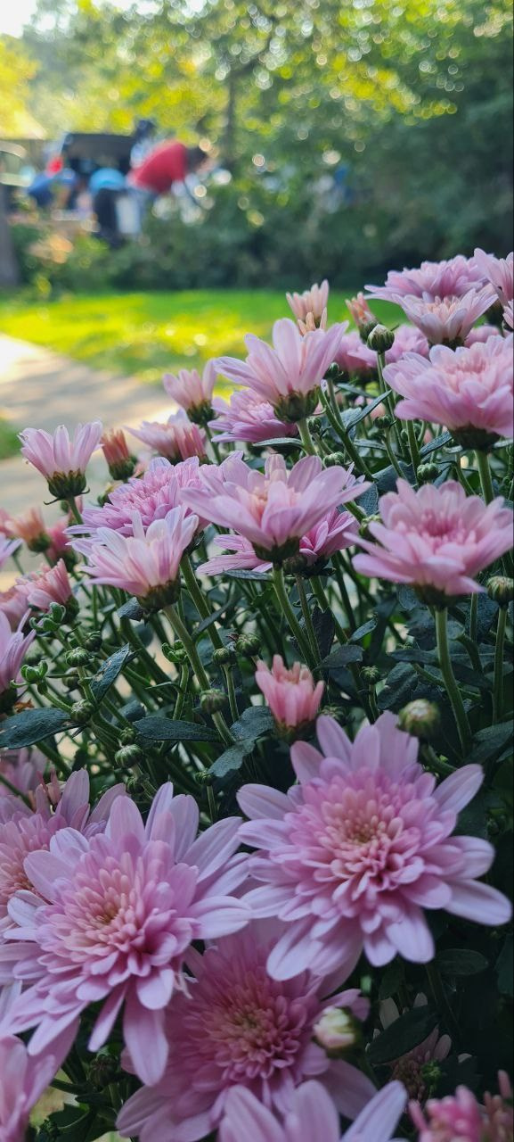 Горячий Ключ (2024-09-20). Собор Отрасли